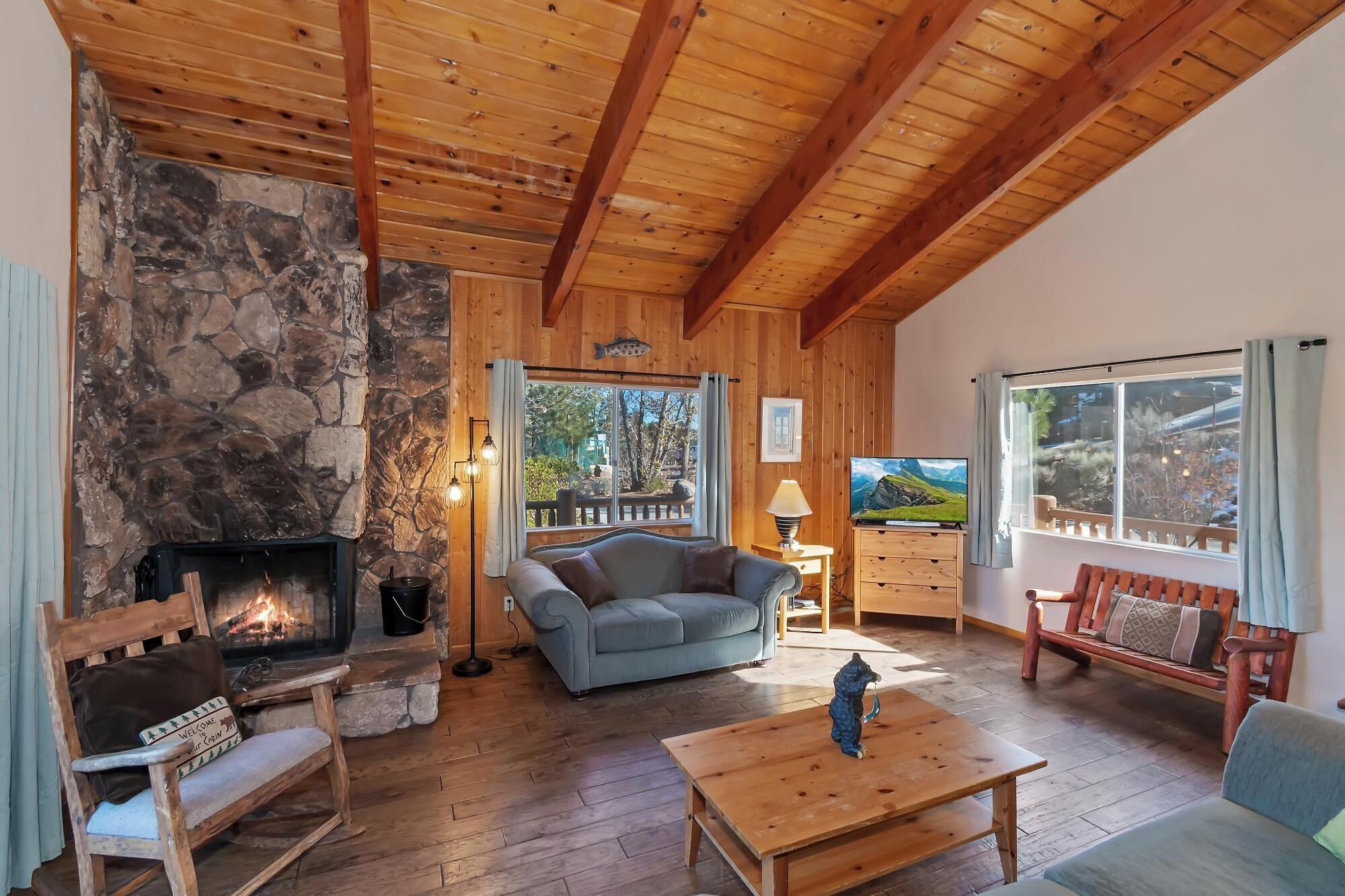 电视、壁炉、DVD 播放器