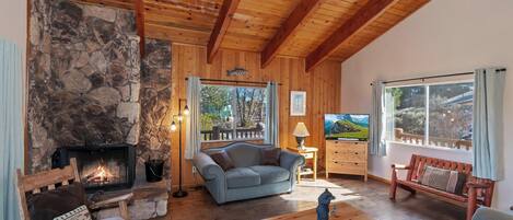 電視、壁爐、DVD 播放機