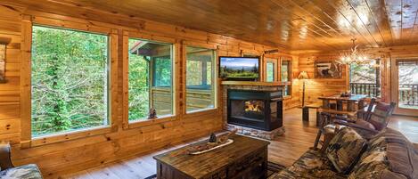 Télévision, cheminée, lecteur de DVD, chaîne hi-fi