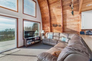 TV, DVD player, books, video library