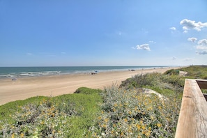 Nära stranden