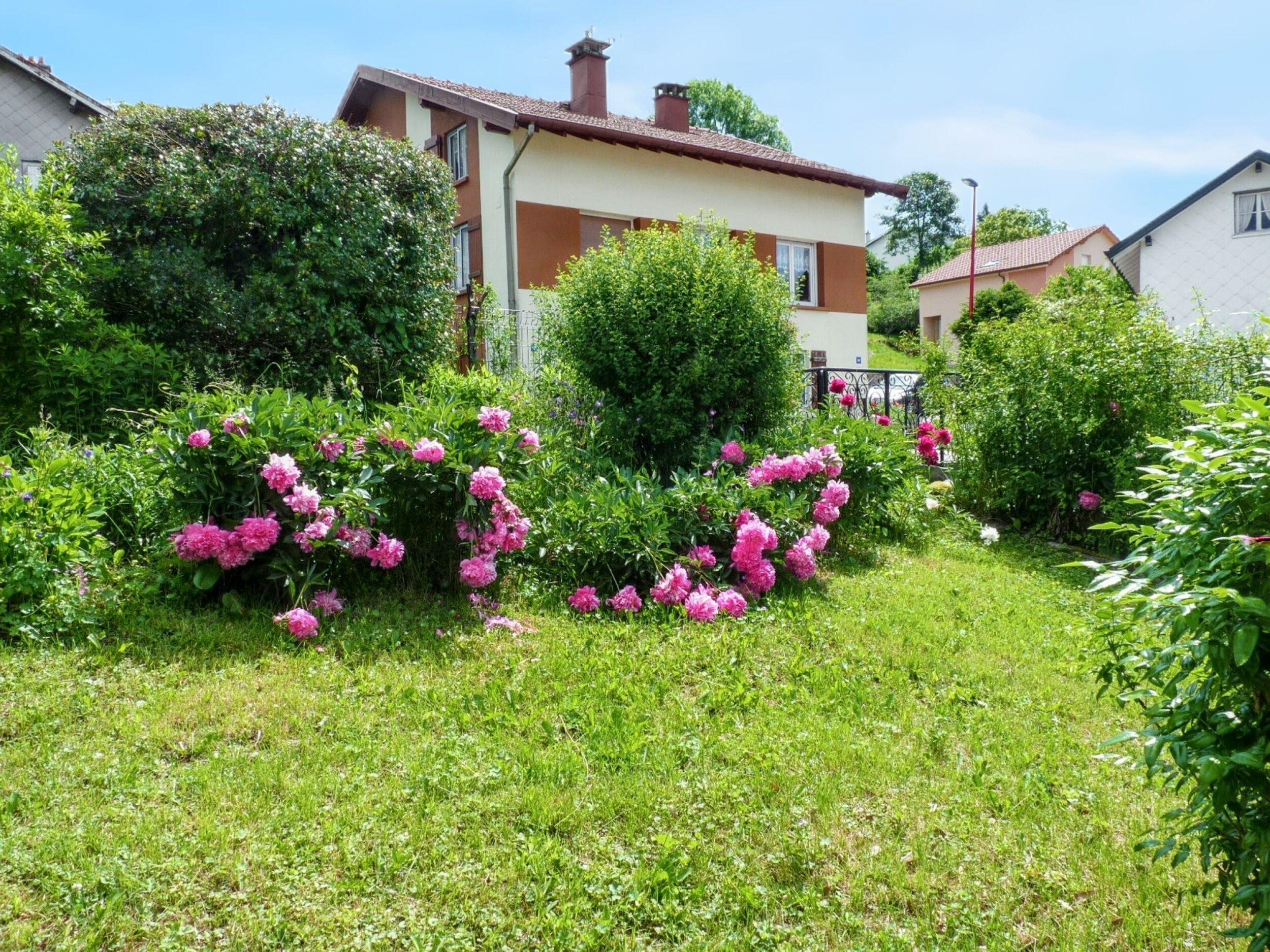 Un barrio residencial con una casa, abundante vegetación y plantas con flores.