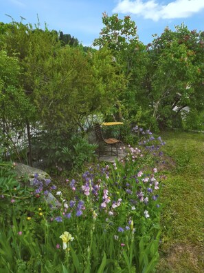 Property grounds - Homerez - Cosy Studio in Gérardmer (Gérardmer)