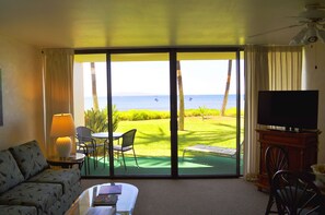 Flat-screen TV, DVD player