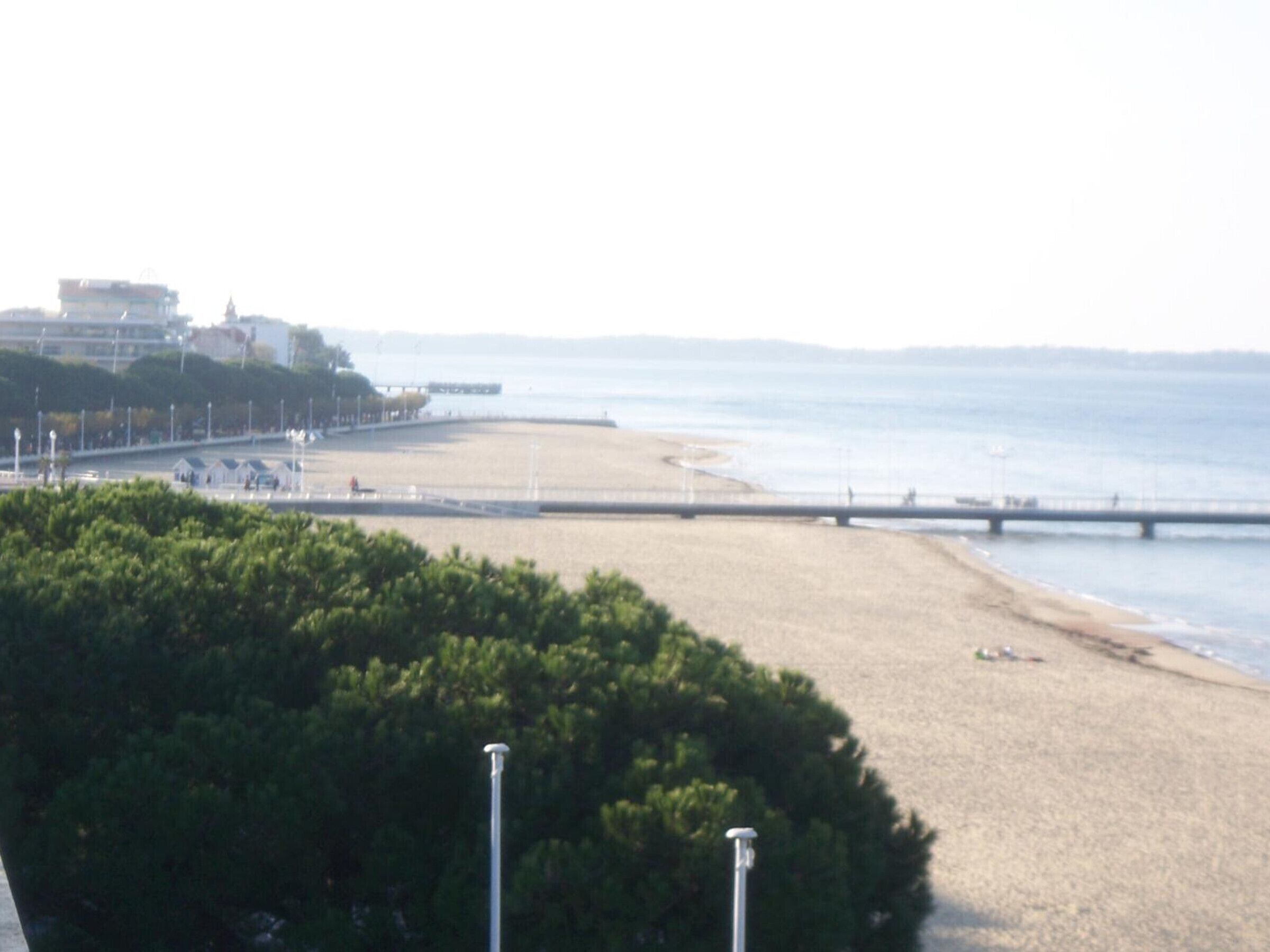 A beach with a pier extending into the water, surrounded by greenery.