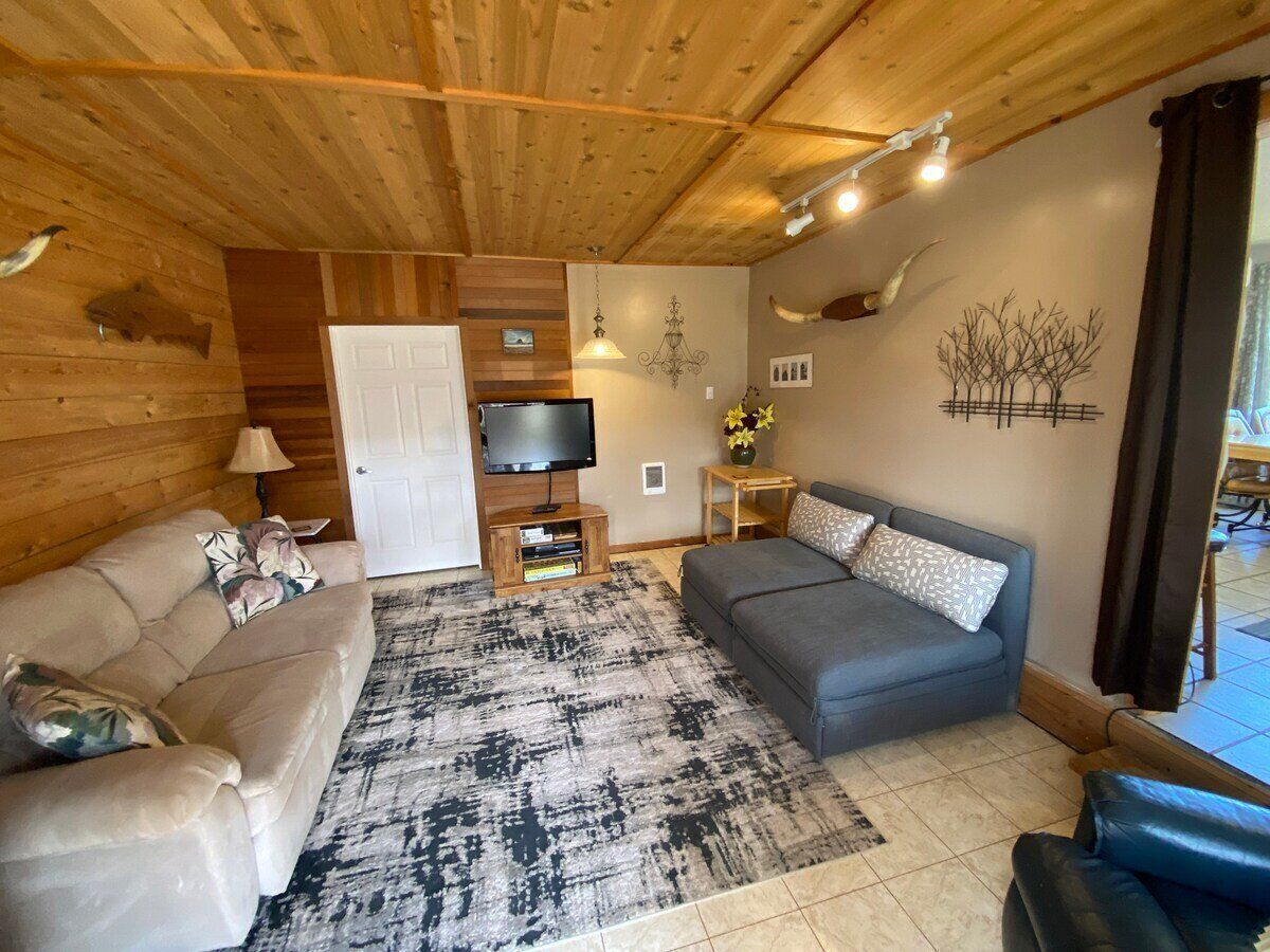 TV connectée, cheminée