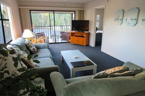 テレビ、DVD プレーヤー