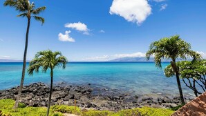 A tropical beach with clear blue water, rocky shore, and palm trees.