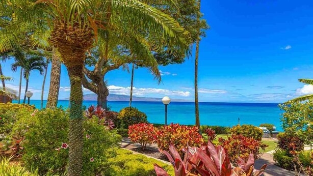 A tropical garden with palm trees and colorful plants, leading to a view of the ocean.