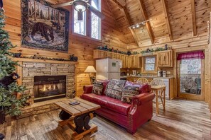 TV, fireplace, DVD player