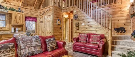 TV, fireplace, DVD player