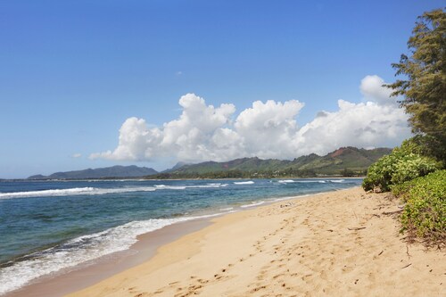 Islander on the Beach 352 Ocean Front *Penthouse* AC