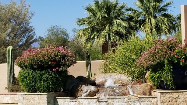 A pool with a waterfall feature, surrounded by cacti and flowering plants. - Rio Verde Townhouse overlooking the golf course. (Rio Verde)