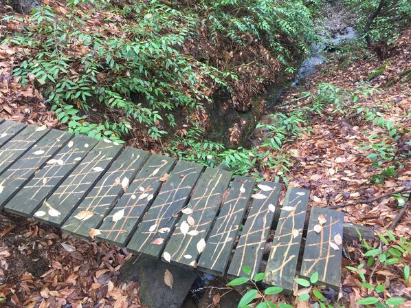 Property grounds - Peace-in-the-Forest Retreat - Singles, Couples, Artists, Forest Lovers (Pickens)