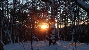 Snow and ski sports - Peace-in-the-Forest Retreat - Singles, Couples, Artists, Forest Lovers (Pickens)