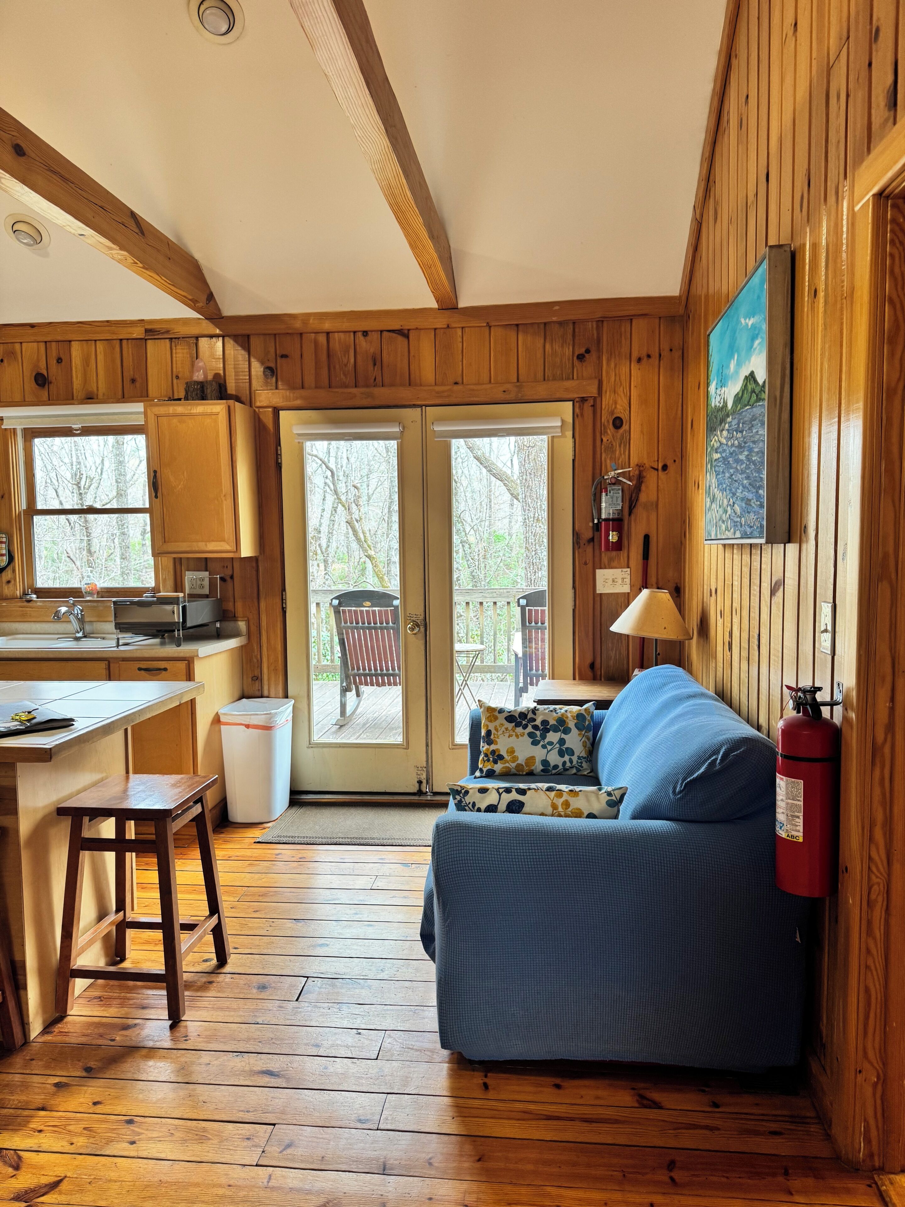 Smart TV, fireplace, DVD player, books