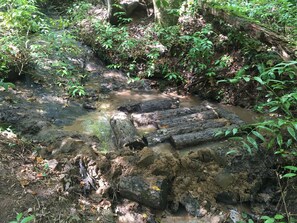 Property grounds - Peace-in-the-Forest Retreat - Singles, Couples, Artists, Forest Lovers (Pickens)