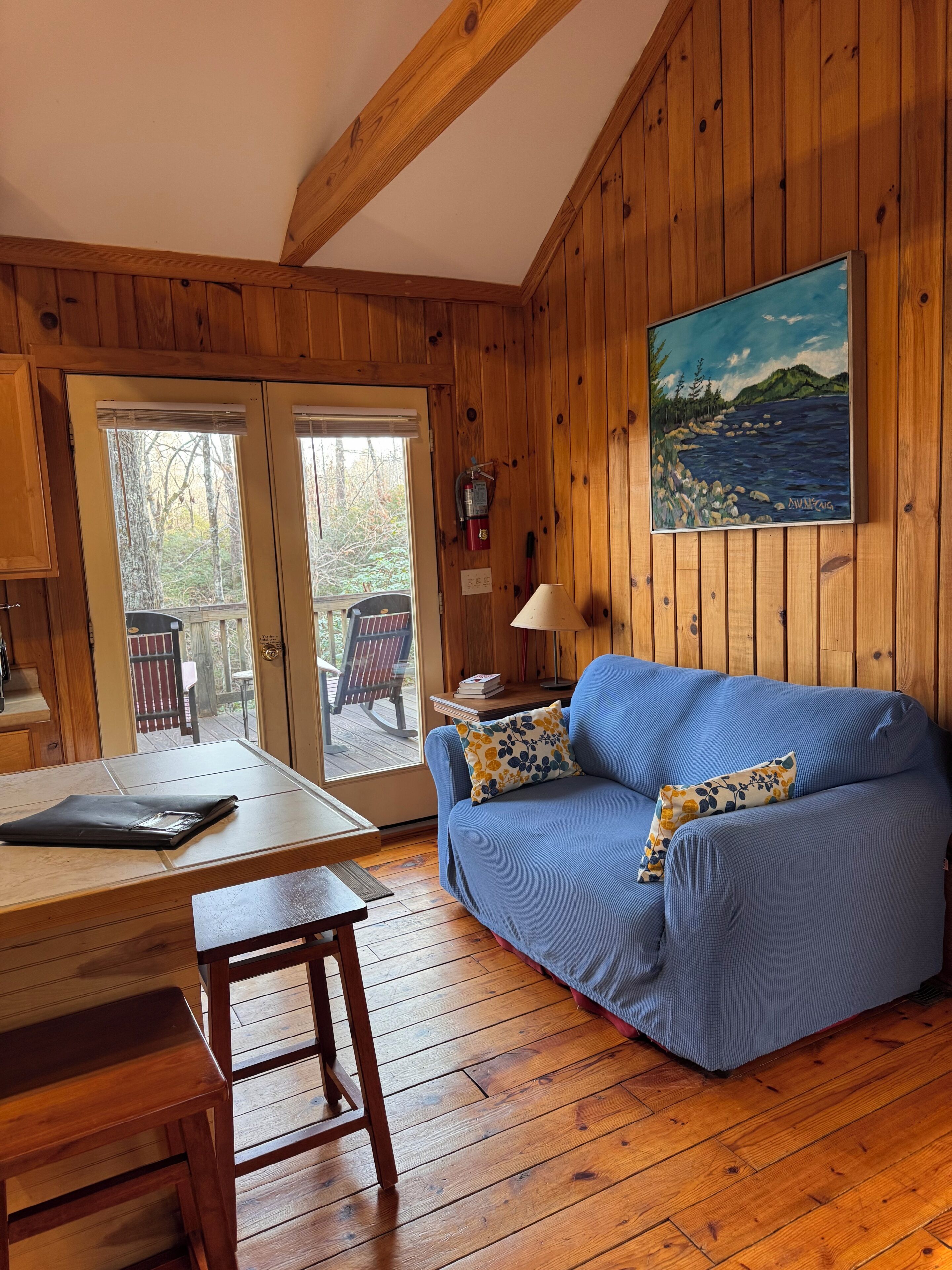 Smart TV, fireplace, DVD player, books