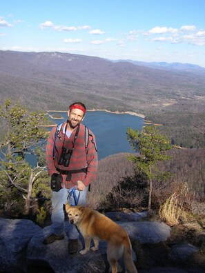 Pet-friendly - Peace-in-the-Forest Retreat - Singles, Couples, Artists, Forest Lovers (Pickens)