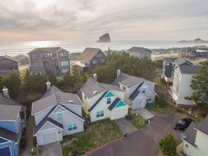 A residential area with houses, a road, and a view of the ocean.