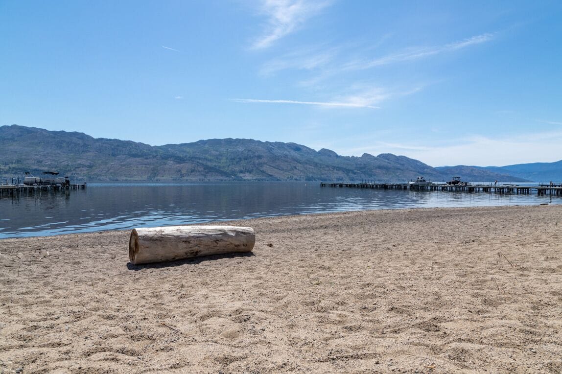 Une plage de sable avec un tronc d’arbre au premier plan, un lac paisible et des montagnes en arrière-plan.
