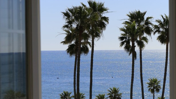 Ein Balkon mit Blick auf das Meer und Palmen.