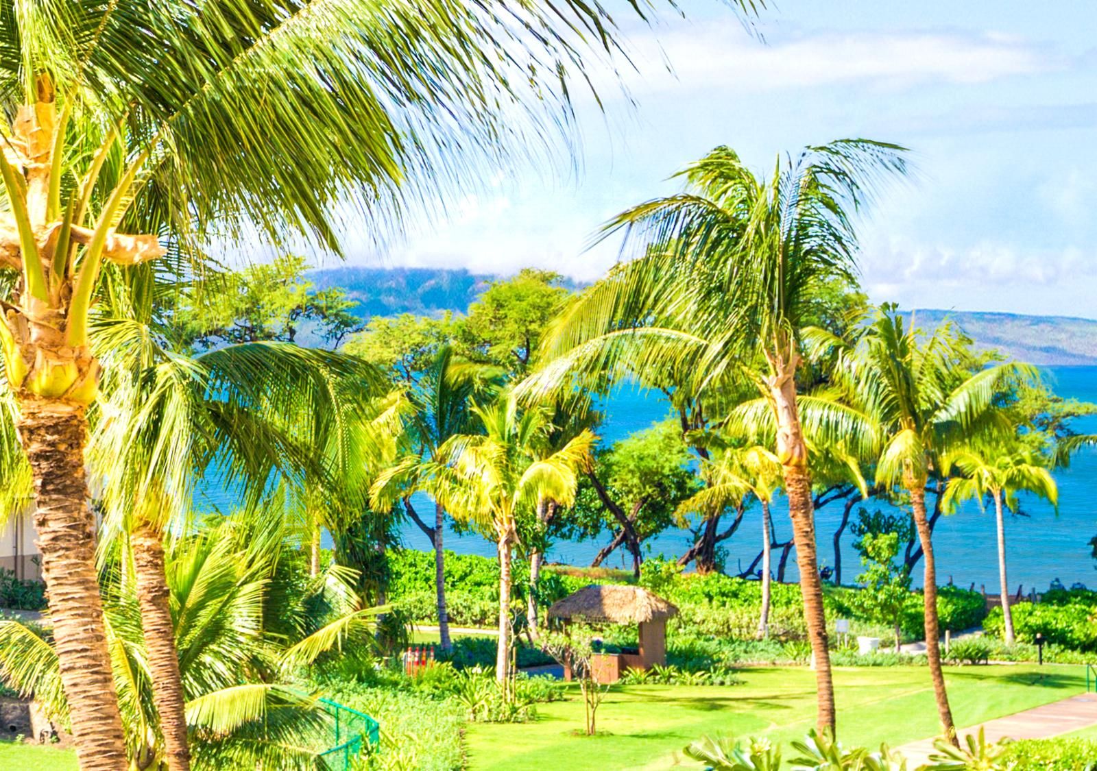 A tropical garden with palm trees and a thatched-roof hut.