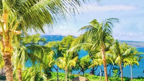 A tropical landscape with palm trees, a thatched-roof hut, and a view of the sea.
