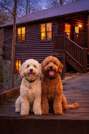 Áreas de la propiedad