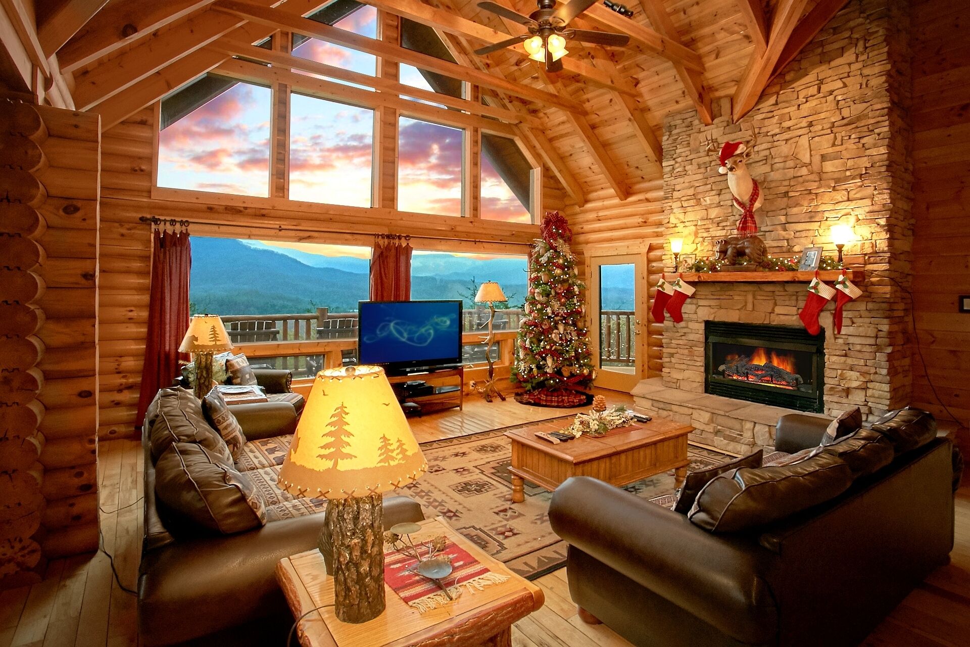 テレビ、DVD プレーヤー