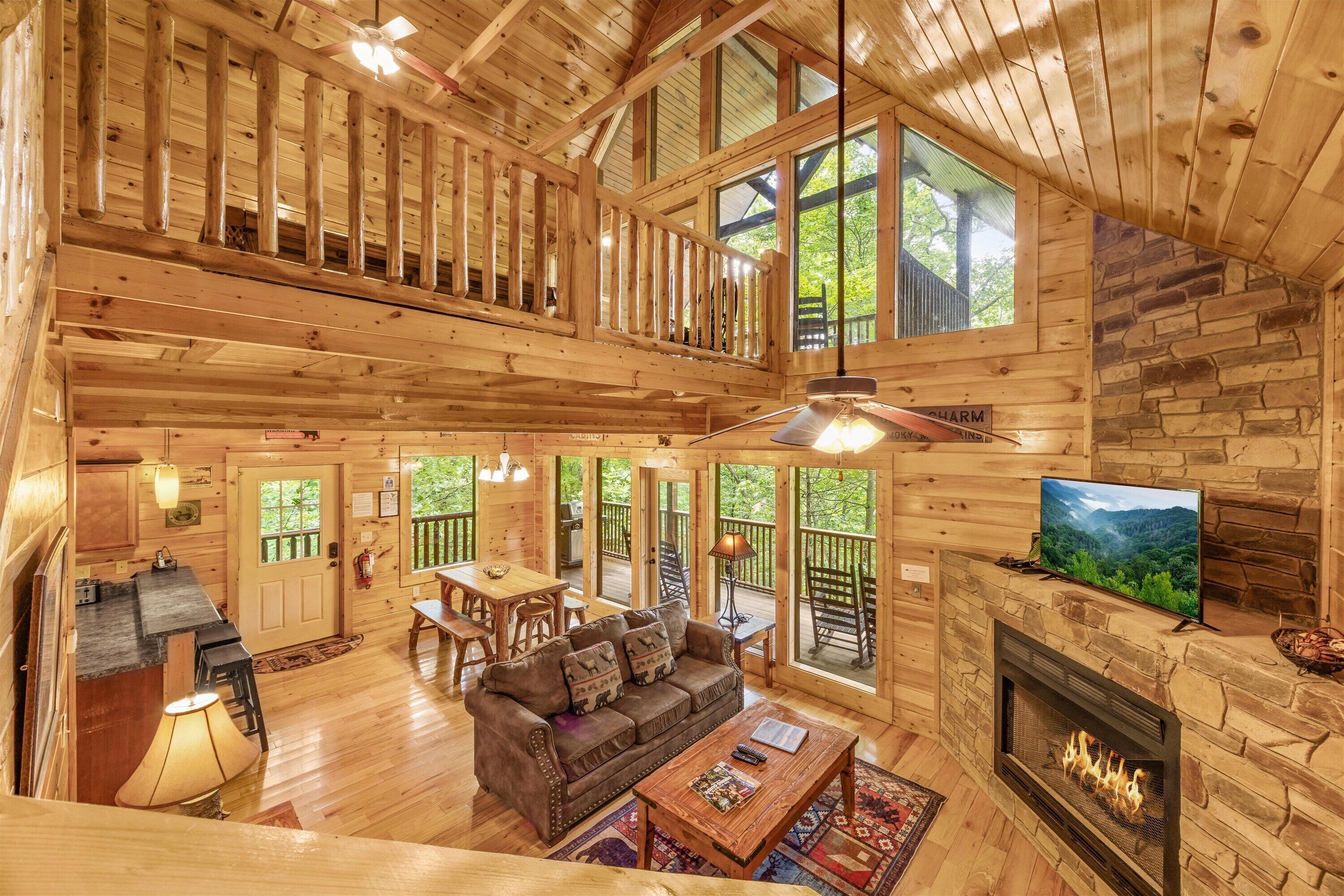 Een televisie, een open haard en een dvd-speler