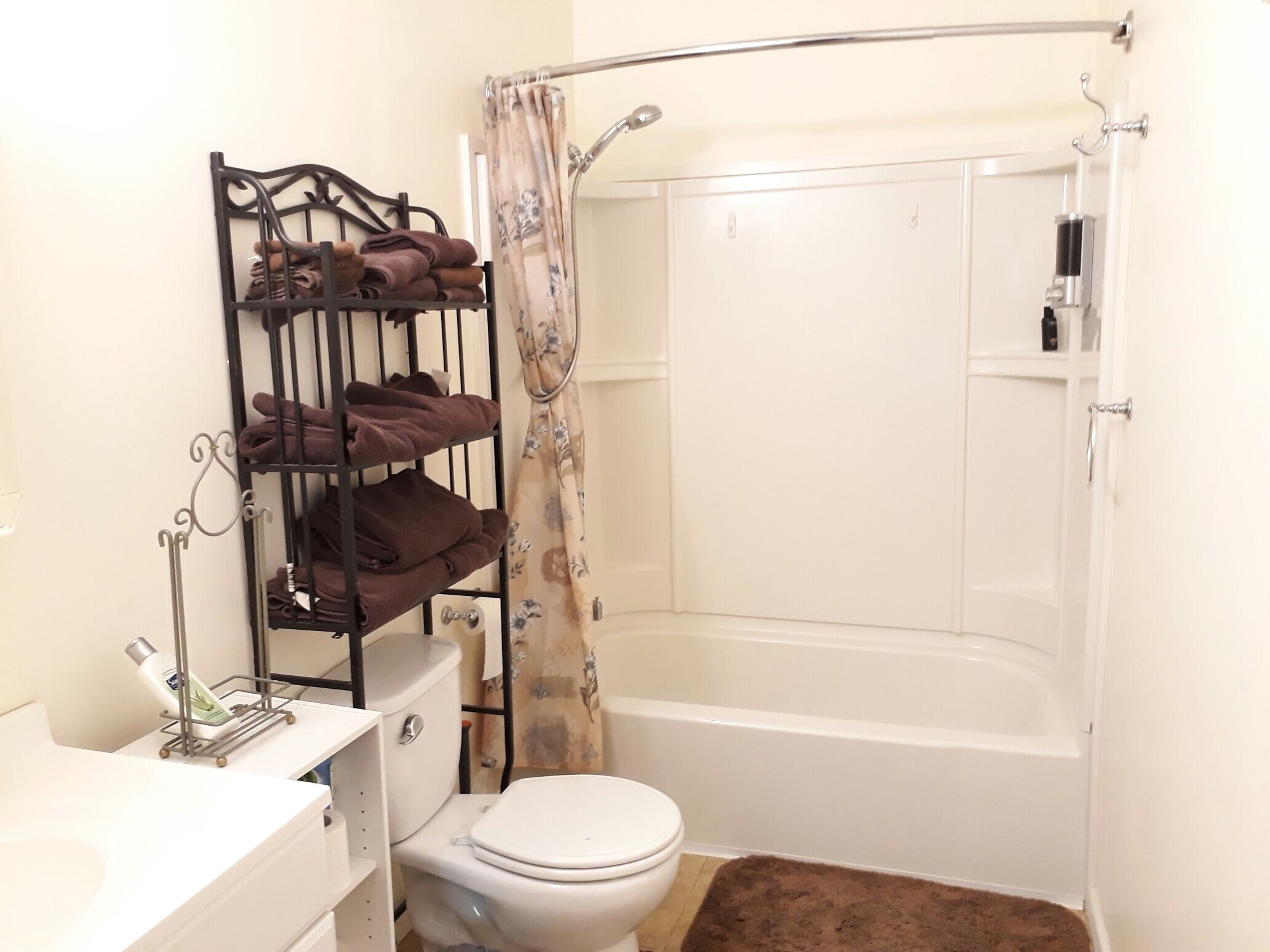 Combined shower/bathtub, eco-friendly toiletries, hair dryer, towels
