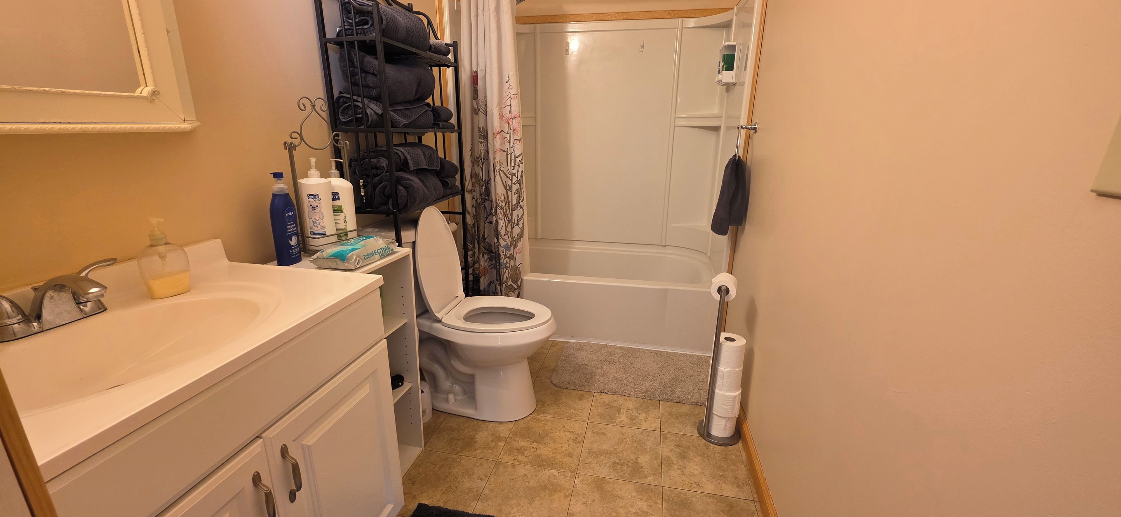 Ein Badezimmer mit Toilette, Waschbecken und Dusche.