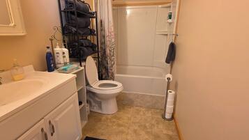 Ein Badezimmer mit Toilette, Waschbecken und Dusche.