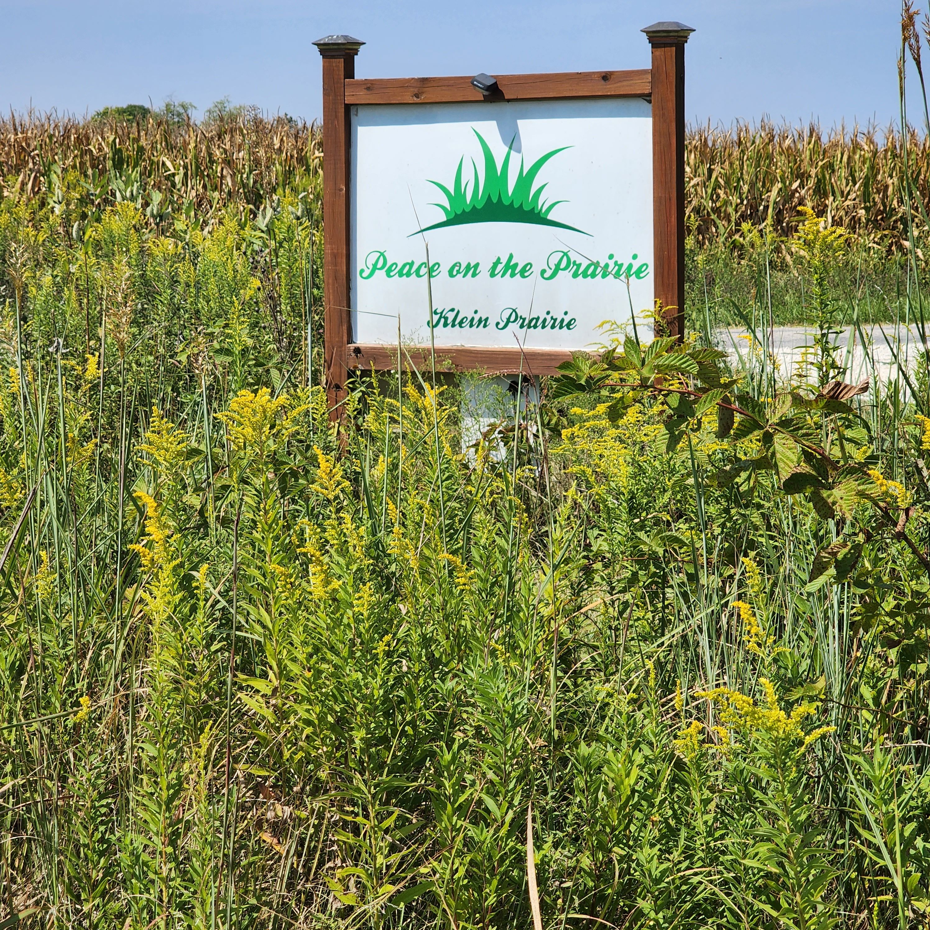A sign with the text 'Peace on the Prairie' and 'Klein Prairie' surrounded by tall grasses and wildflowers.