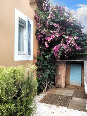 A building with a window, a door, and a small garden area with plants and a wooden deck.