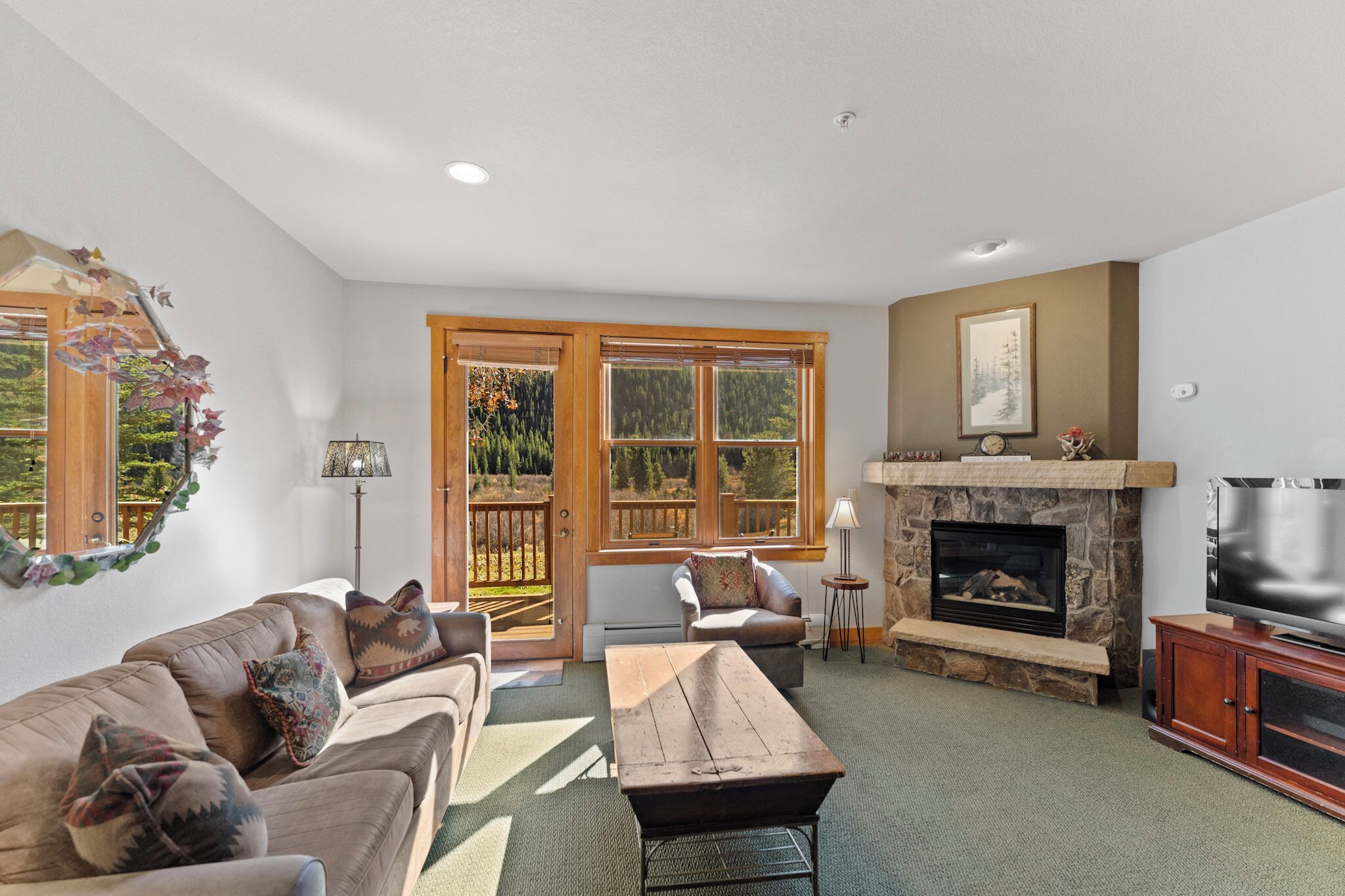TV, fireplace, DVD player