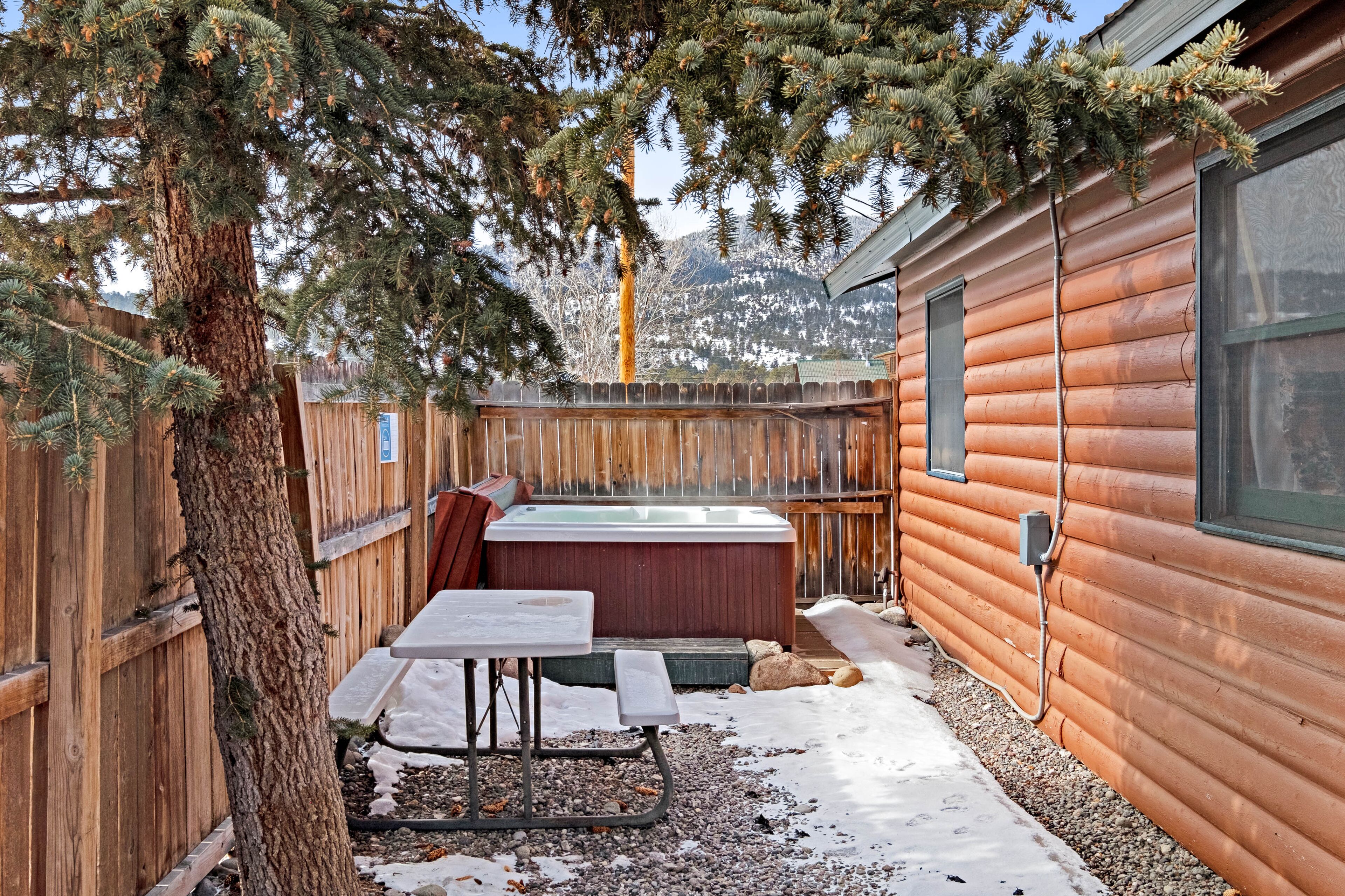 Dog-friendly cabin with WiFi, private yard, & Fireplace - ideal for hiking & skiing
