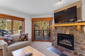 TV, fireplace, DVD player
