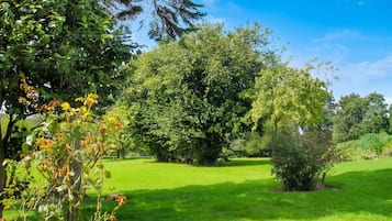 Un parco verde e rigoglioso, con alberi diversi e un prato ben curato.