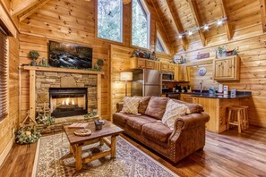 Een televisie, een open haard en een dvd-speler