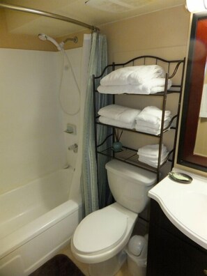 Combined shower/bathtub, hair dryer