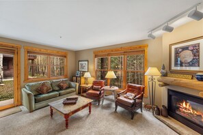 Una televisión, una chimenea, un reproductor de DVD, libros