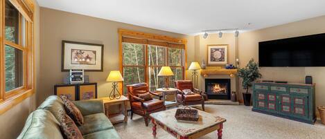 TV, fireplace, DVD player, books