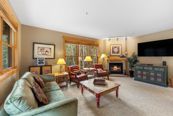 TV, fireplace, DVD player, books