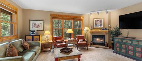 Televisio, takka, DVD-soitin, kirjoja