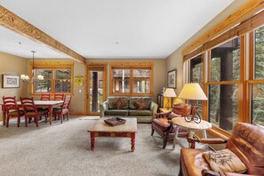 Televisión, chimenea, reproductor de DVD y libros 