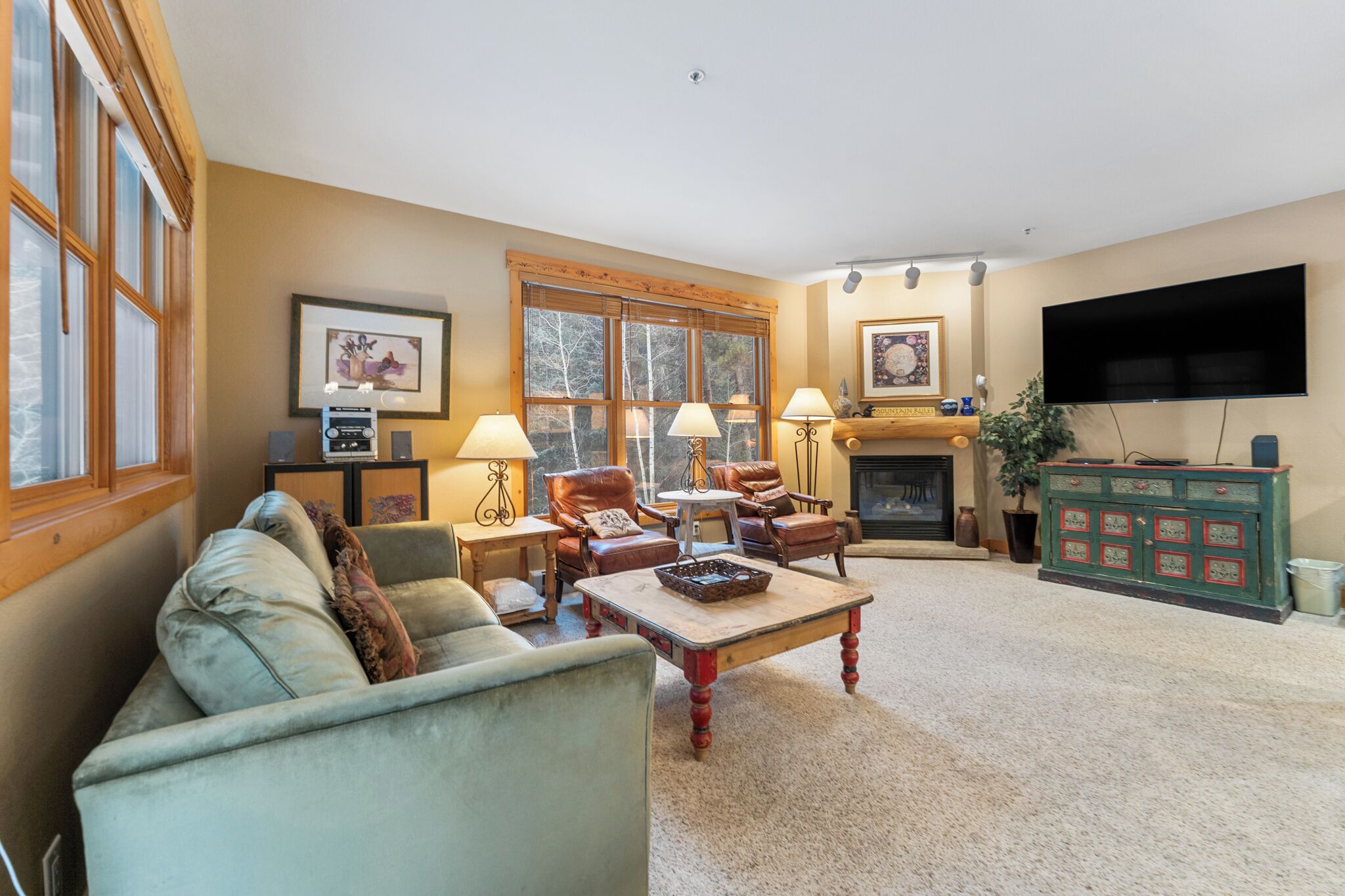 テレビ、暖炉、DVD プレーヤー、書庫