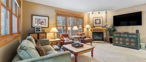 テレビ、暖炉、DVD プレーヤー、書庫