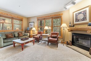 Télévision, cheminée, lecteur de DVD, livres